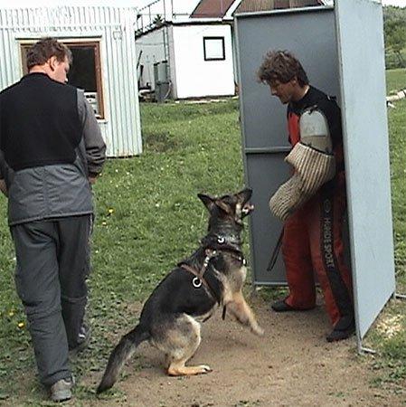 photo60.jpg - LVT Kácov - květen 2006