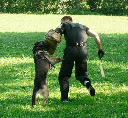 photo62.jpg - Český Brod 2006