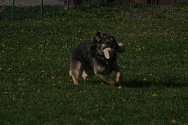 photo84.jpg - Jižní Město 2007