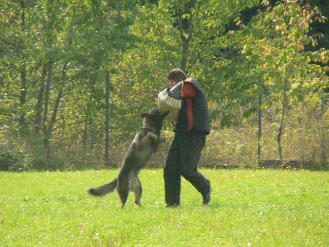 photo74.jpg - 16.9.2006 - závod O Pohár Jižního Města, získali jsme 3. místo v kategorii IPO-3