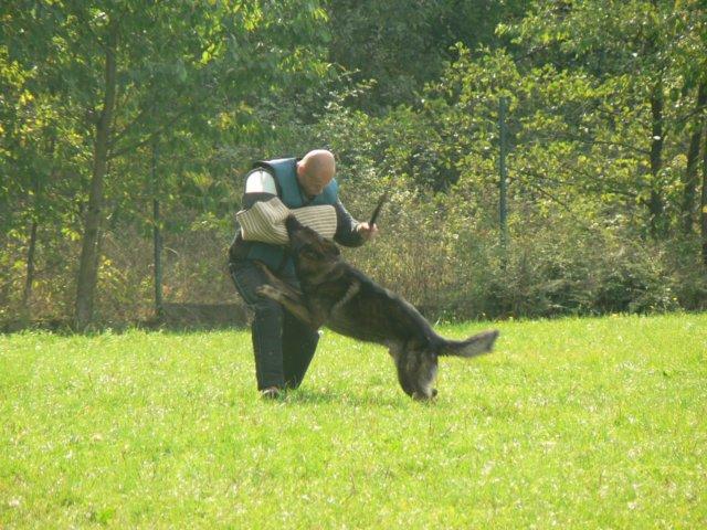 photo80.jpg - 16.9.2006 - závod O Pohár Jižního Města, získali jsme 3. místo v kategorii IPO-3
